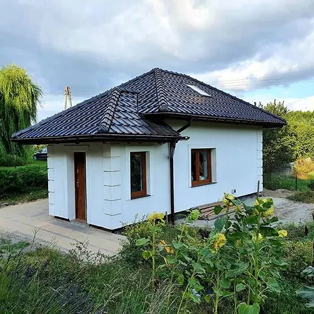 Bialoborski Las Bialy Bor (Grudziadz)